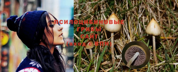 круглые Алексеевка