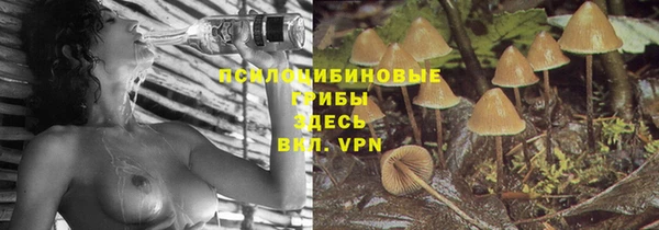 круглые Алексеевка