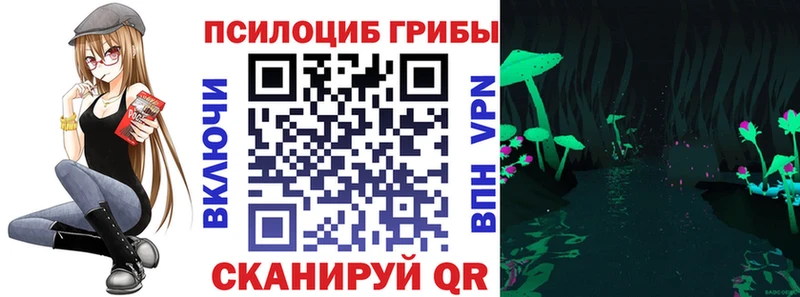 продажа наркотиков  Трубчевск  Псилоцибиновые грибы мухоморы 